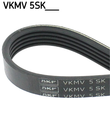 Cinghia Poly-V - VKMV 5SK705 SKF